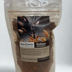 bulbine